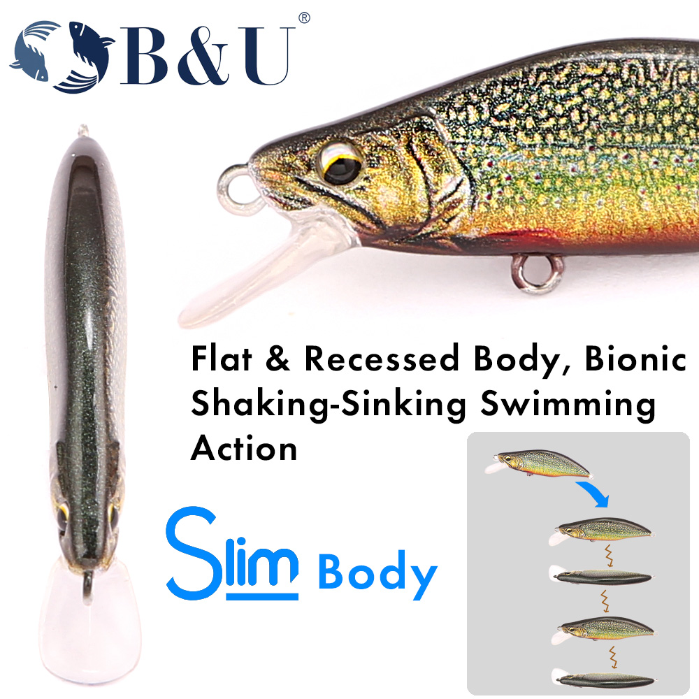 B&U Trout Pattern Hard Bait Si - Fishing Hook Assortment review and price