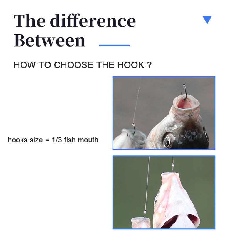 10 pair Fishing Hooks With Tip - Fishing Hook Assortment review and price